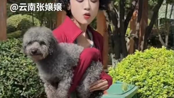 超雄老奶是什么梗