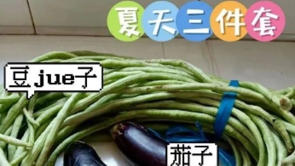 山东话豆橛子是什么意思