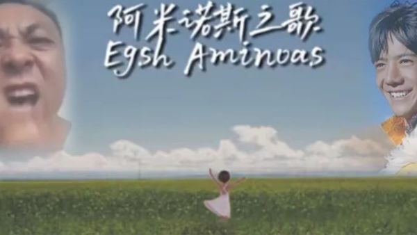 阿米诺斯是什么意思