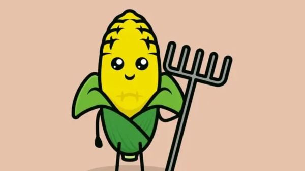 玉米几是什么新梗