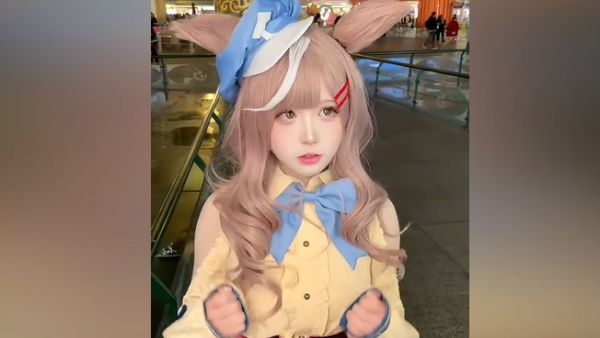 豪庭是什么意思