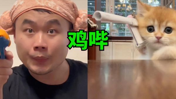 鸡哔你是什么意思