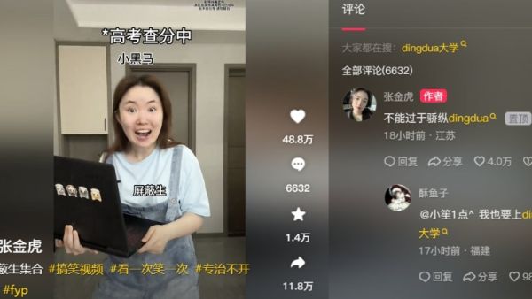 dingdua大学是什么意思