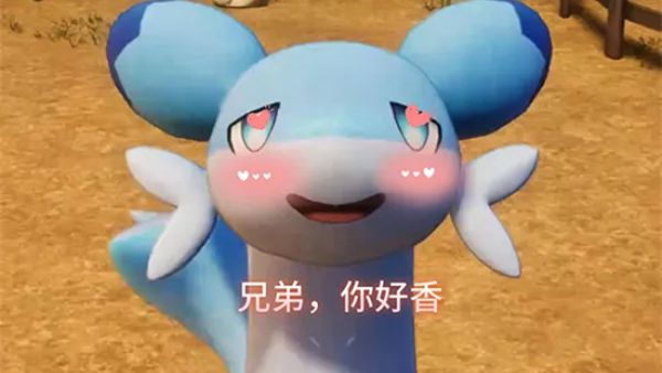 兄弟你好香啊是什么意思