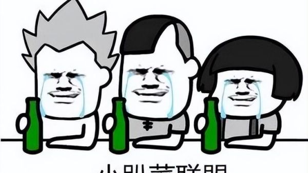 小趴菜是什么意思