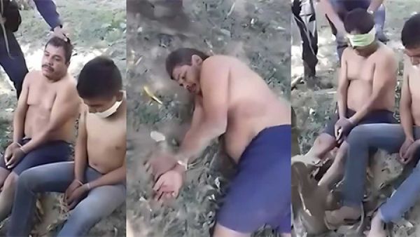 墨西哥火龙果剥皮事件是什么梗