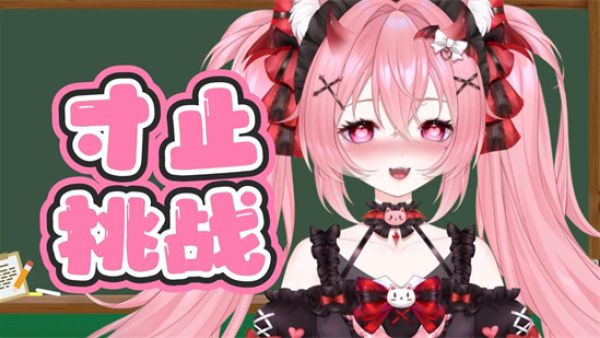 寸止挑战是什么意思