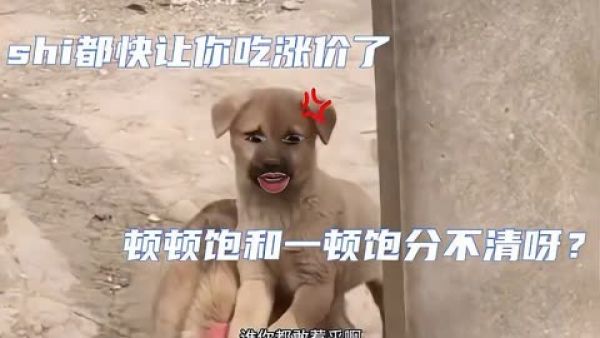 糟糕的家伙是什么梗
