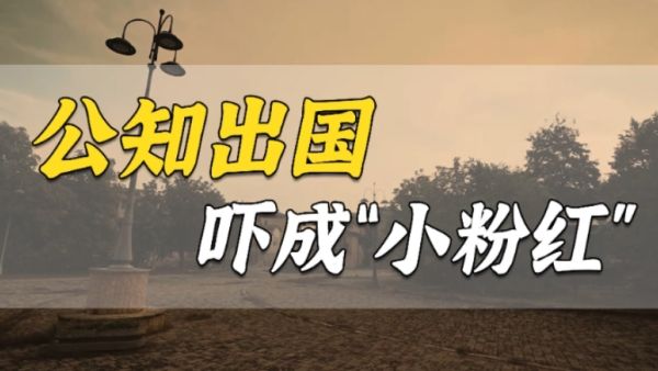 stupink是什么意思