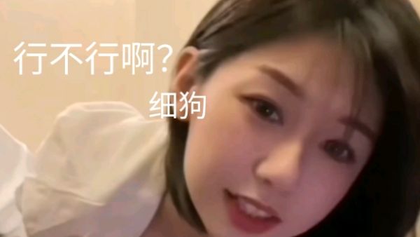 细狗是什么意思