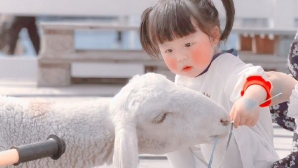 等我小了我也这样什么梗