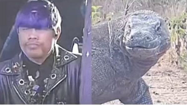 科莫多巨伦是什么意思