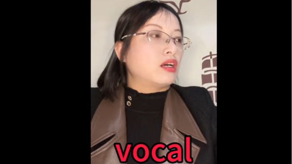 VOCAL是什么意思网络用语
