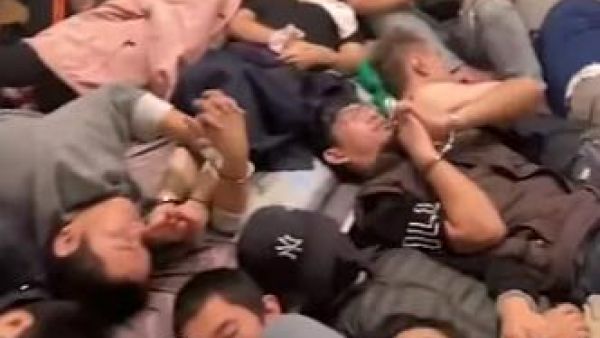 缅甸猪仔是什么意思