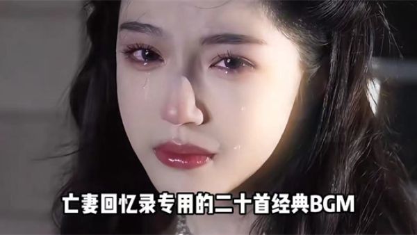 亡妻回忆录是什么意思