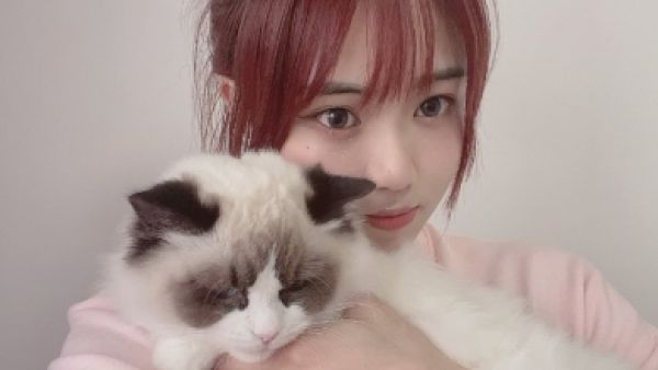 吸猫是什么意思