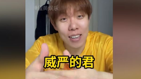 电子奸臣是什么梗