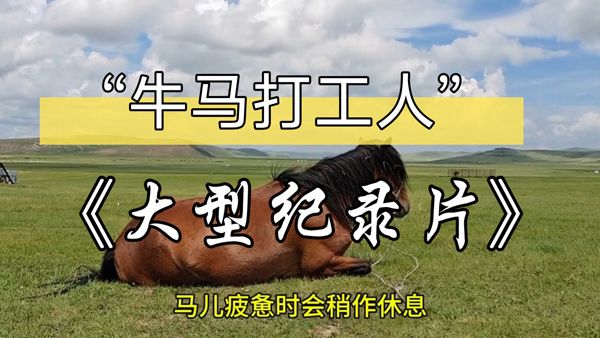 牛马三件套是什么意思