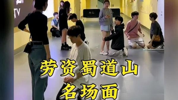 劳资蜀道山是什么意思