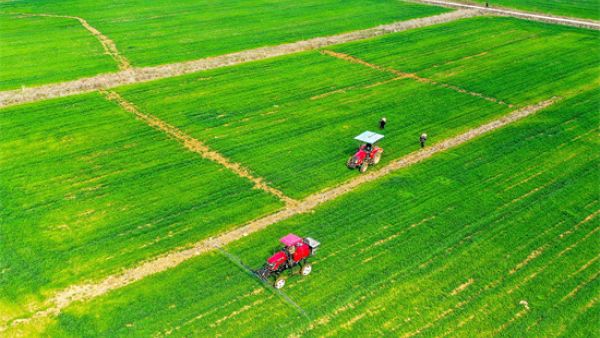 一亩地等于多少平方米