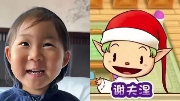 我有一个帽衫是什么梗