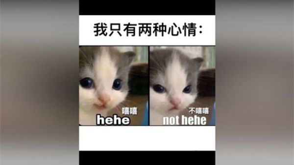 嘻嘻不嘻嘻是什么梗