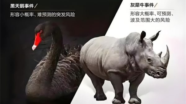 黑天鹅灰犀牛事件是什么意思