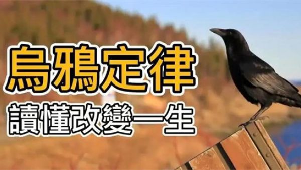 乌鸦定律是什么意思