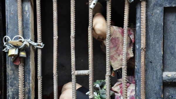 缅北训狗场是真的吗