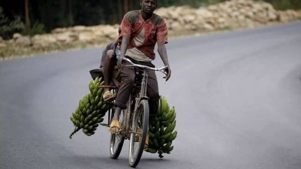 奥德彪是什么意思 奥德彪什么梗