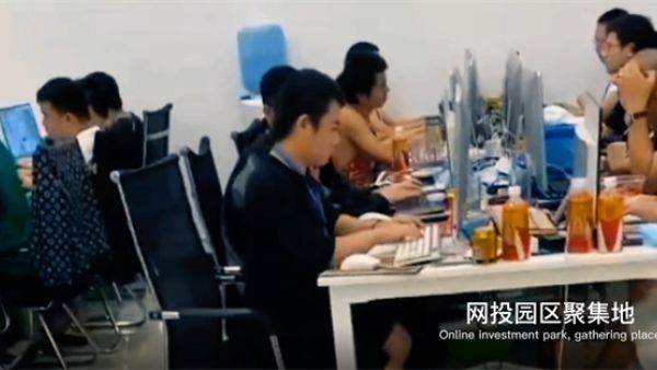 缅北园区人员是些什么人