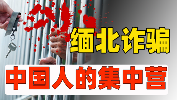 缅北园区有多少中国人