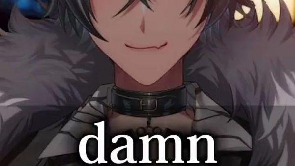damn是什么意思