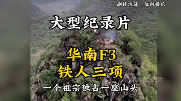 华南F3是什么梗