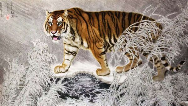 山君是什么意思