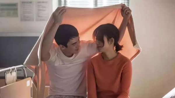 三分伴侣是什么意思