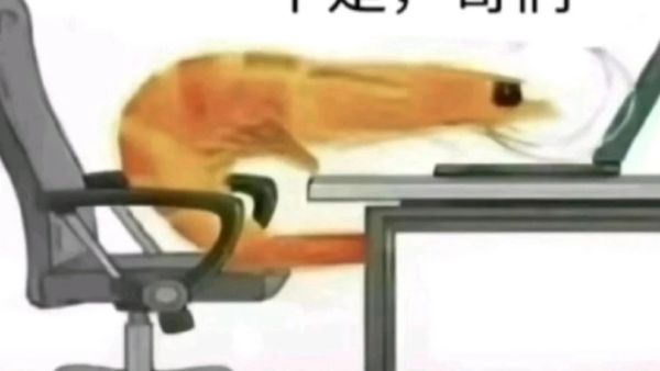 不是哥们是什么梗