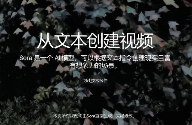 Sora什么时候上线?使用Sora收费吗 - 第2张 - 坑多多 Sora什么时候上线?使用Sora收费吗 - 第2张