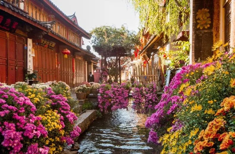 一个人去哪里旅游散心比较好 - 第1张 - 坑多多 一个人去哪里旅游散心比较好 - 第1张
