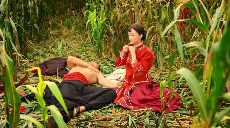 青纱帐一般指哪些地方 - 第1张 - 坑多多 青纱帐一般指哪些地方 - 第1张