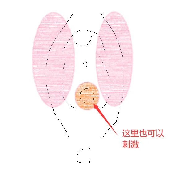 怎么揉小豆水最多 扣小花园的手势图 - 第4张 - 坑多多 怎么揉小豆水最多 扣小花园的手势图 - 第4张