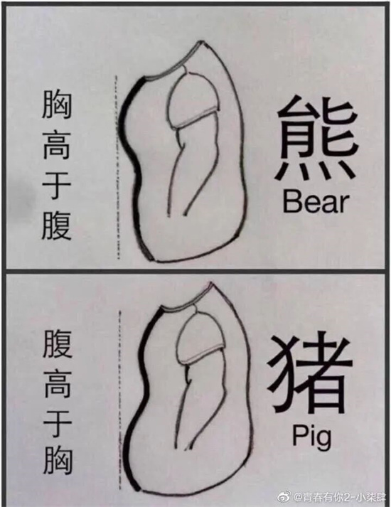 熊、猪、猴、虾在男同圈是什么意思 - 第3张 - 坑多多 熊、猪、猴、虾在男同圈是什么意思 - 第3张