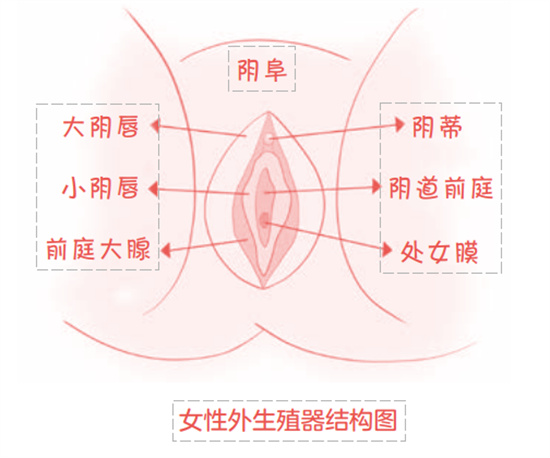 女生户型是什么意思 - 第4张 - 坑多多 女生户型是什么意思 - 第4张