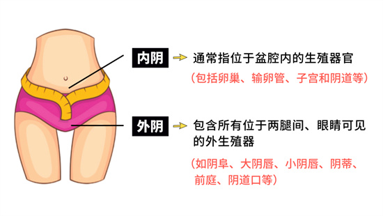 女生户型是什么意思 - 第3张 - 坑多多 女生户型是什么意思 - 第3张