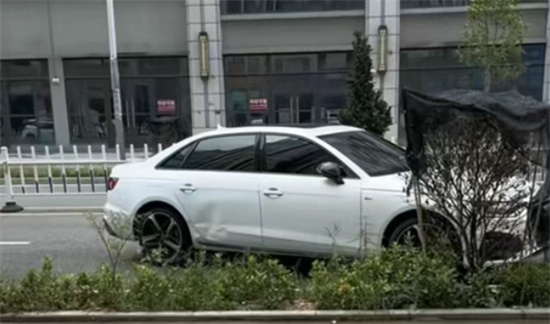 广东甲级战犯是什么梗?路人王粤J2888T - 第2张 - 坑多多 广东甲级战犯是什么梗?路人王粤J2888T - 第2张