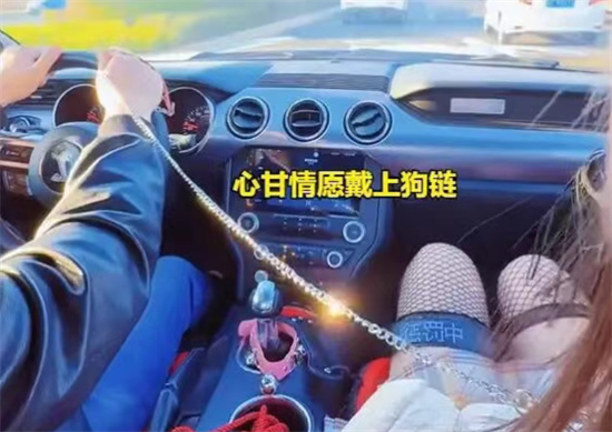 契约兽是什么意思 - 第2张