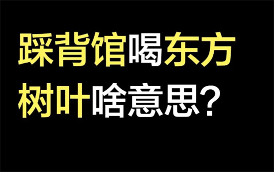 踩背馆东方树叶是什么梗 - 第1张 - 坑多多 踩背馆东方树叶是什么梗 - 第1张