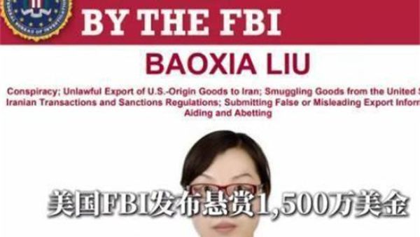 战争女王是什么梗