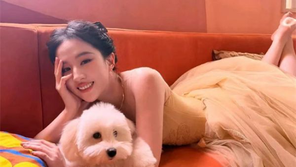 刘亦菲的脚是什么梗