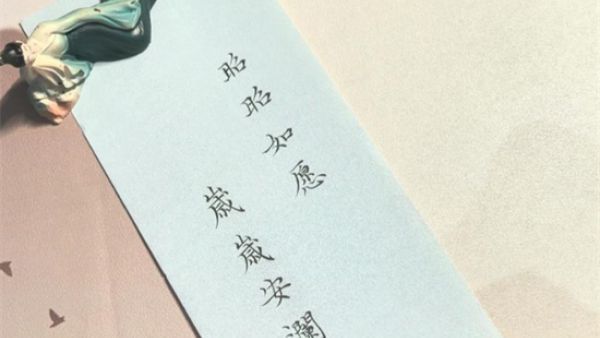 昭昭如愿 岁岁安澜什么意思